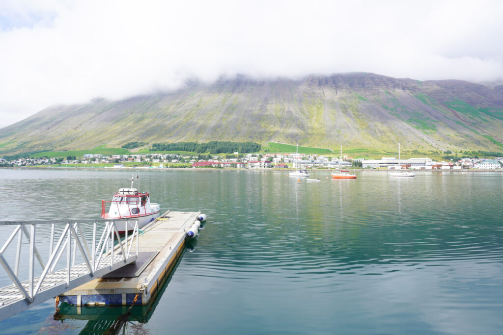 DSC02586 DSC02586 1024x683