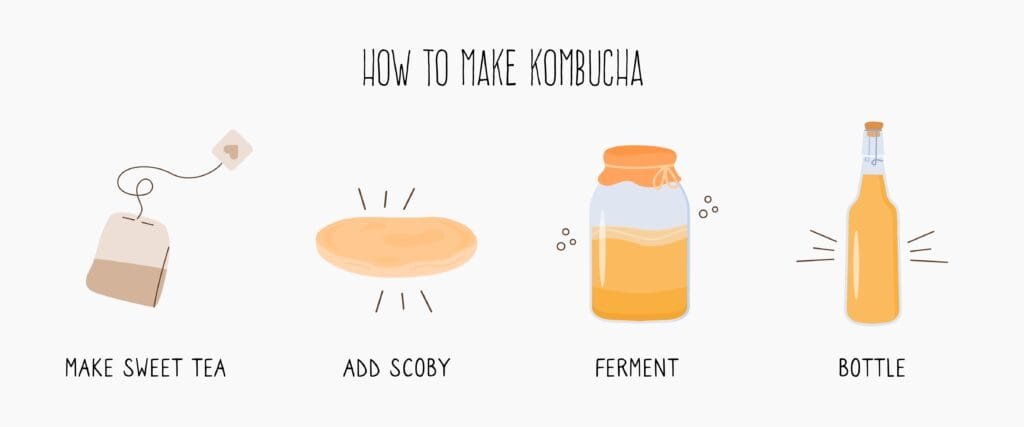 How to Make Kombucha at Home kombucha,fermented,probiotic,homemade,drink,guide.,tea,mushroom,brewing,method