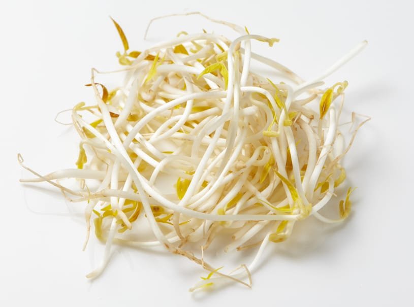 How to Grow Bean Sprouts at Home mung bean sprouts