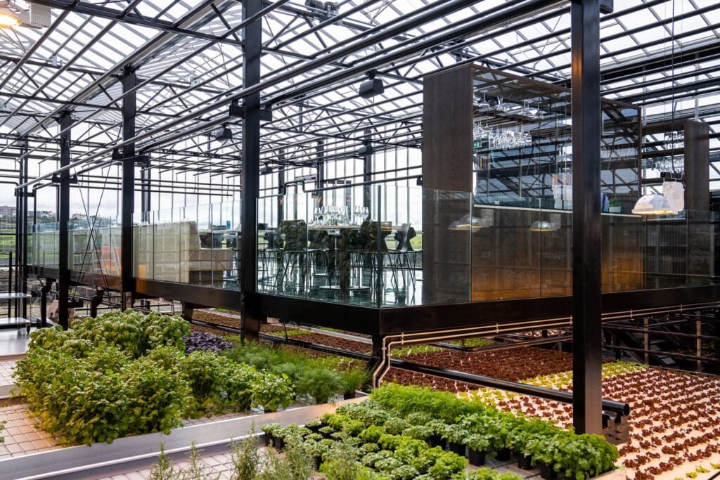 Sól Restaurant: Greenhouse Dining in Iceland sÓl