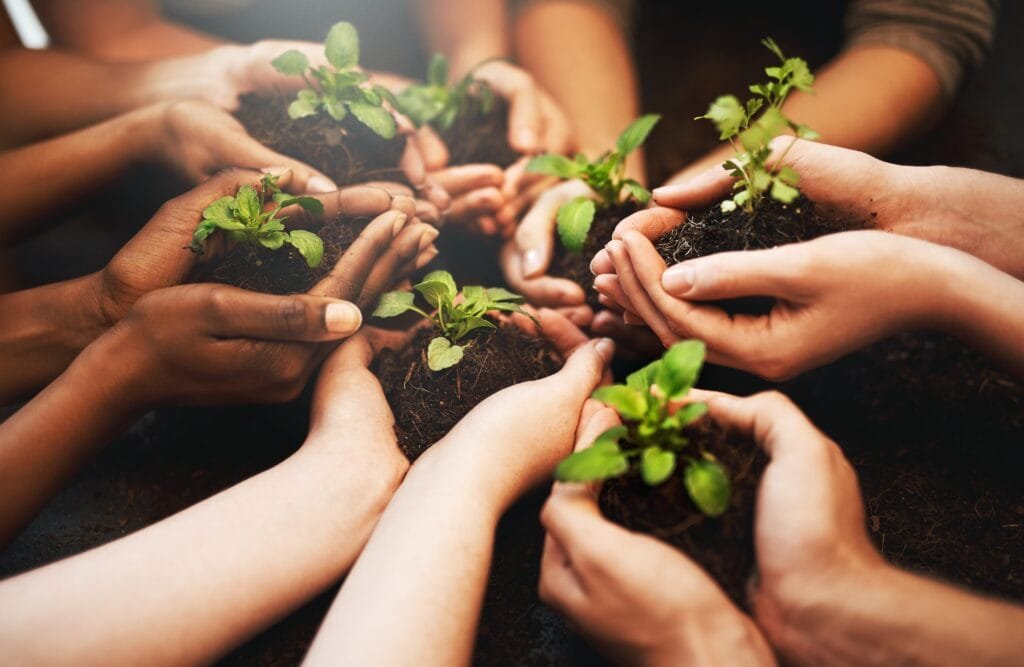 Corporate wellness hands,together,,plant,soil,and,nature,growth,with,sustainability,and
